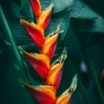featured-image-5
