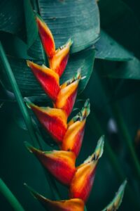 featured-image-5
